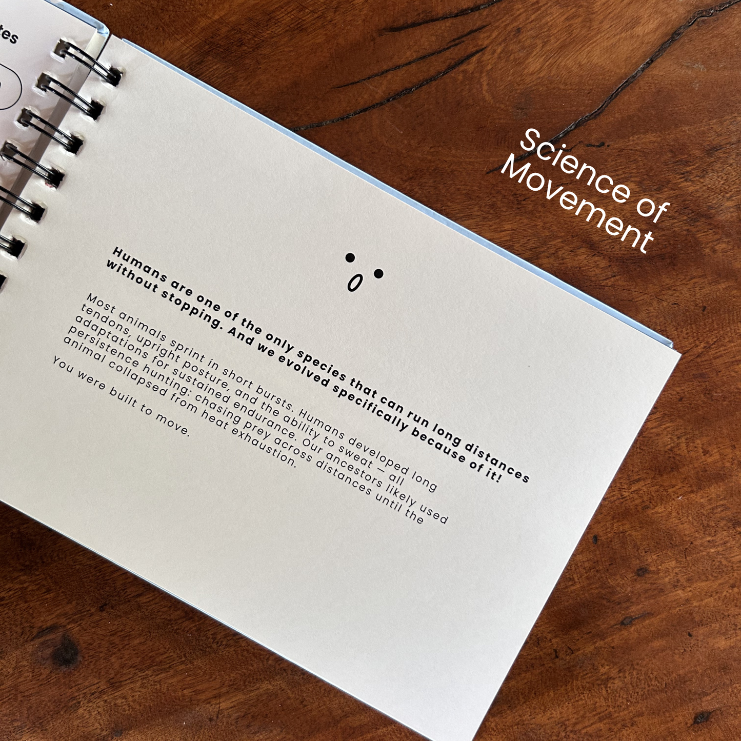 The Movement Journal | Get consistent with workouts